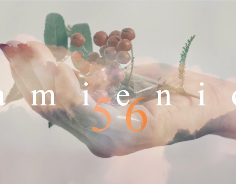 Filmy prezentujące działania Kamienicy