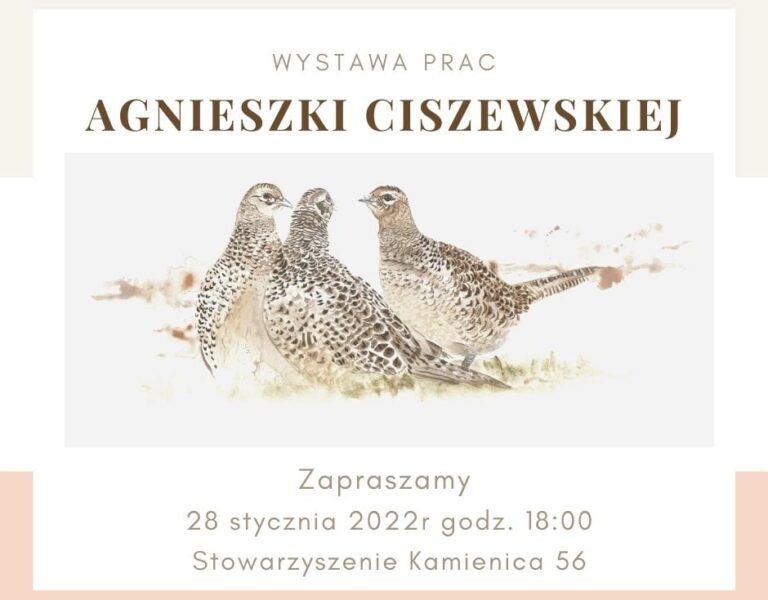 „Opowieści po&nbsp;drodze” Agnieszka Ciszewska